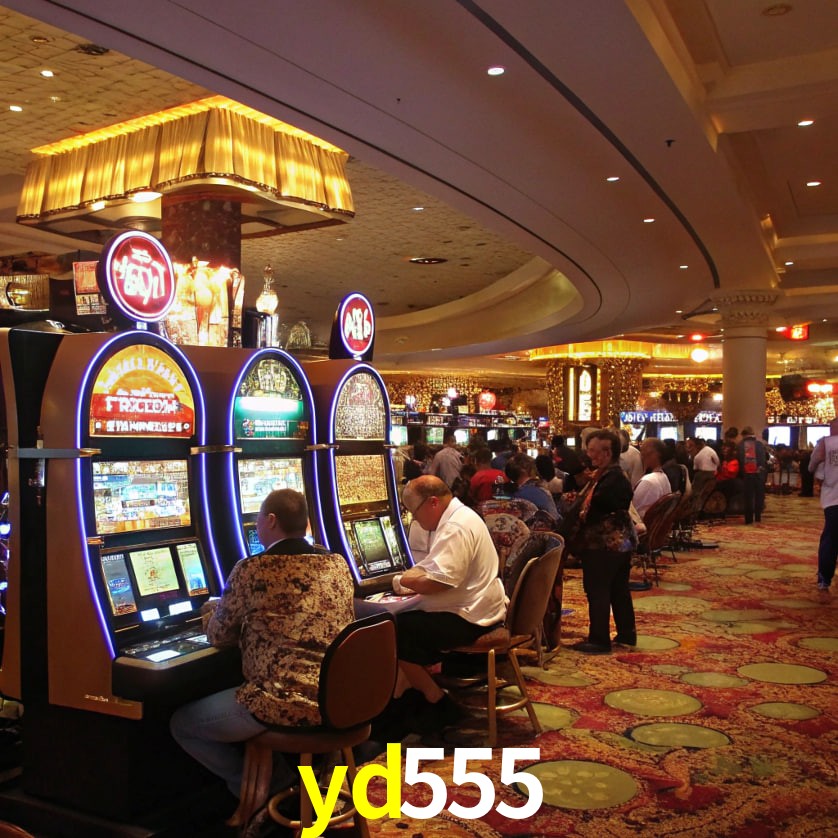 yd555-Game-Slots